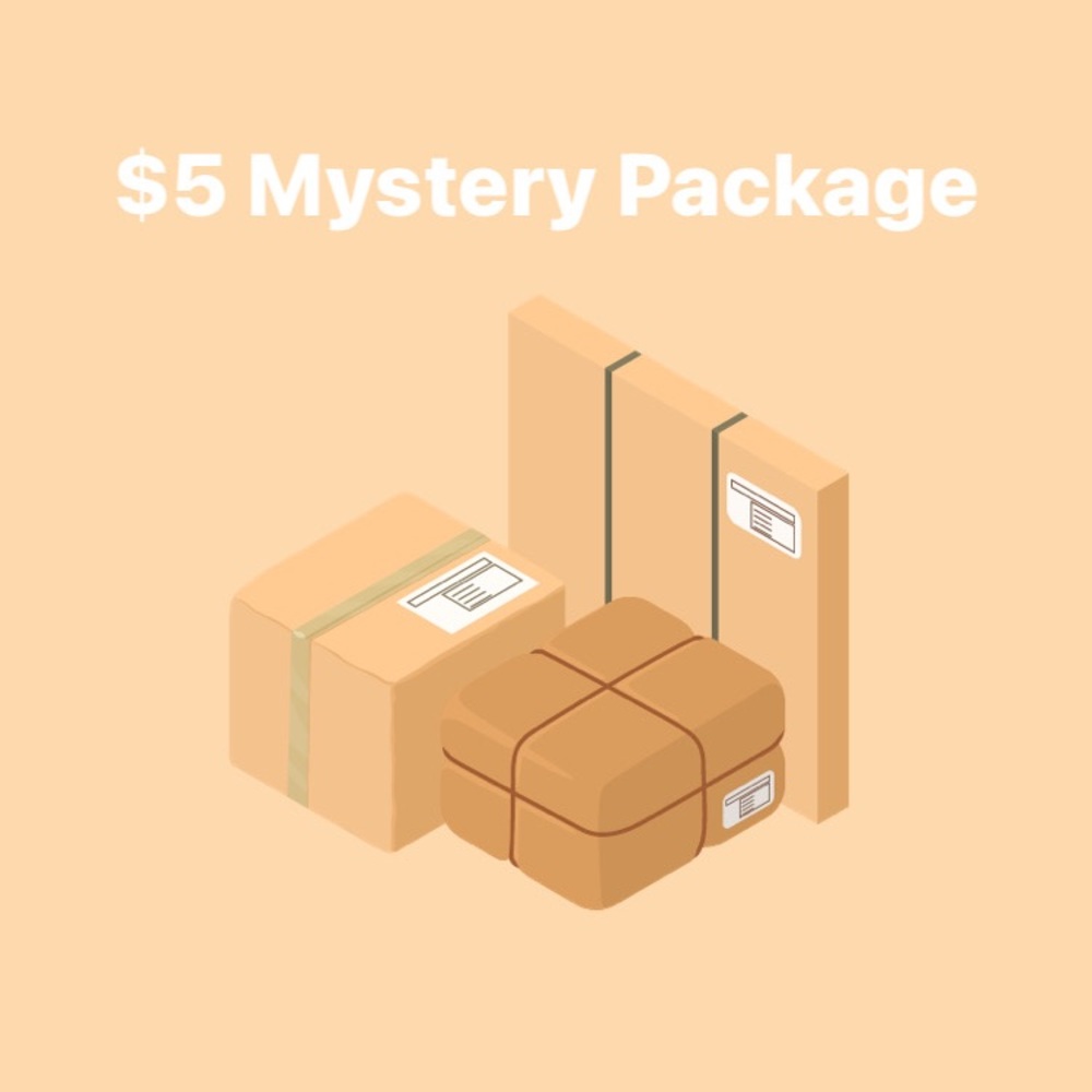 $5 Jewelry mystery package